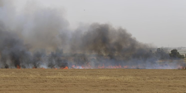 اذعان صهیونیست‌ها به ۳۵ مورد آتش سوزی در جنوب فلسطین اشغالی