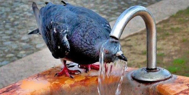 افزایش گرما از ۲۵ اردیبهشت در اغلب شهرها/ اهواز با دمای ۴۵ درجه داغ ترین شهر کشور