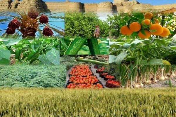 جلوی انحلال سازمان تعاون روستایی گرفته شود