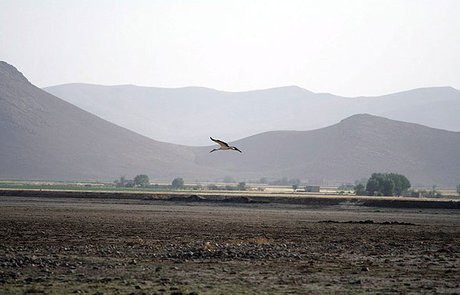 «خشکسالی» نفس تالاب‌ها را به شماره انداخت!