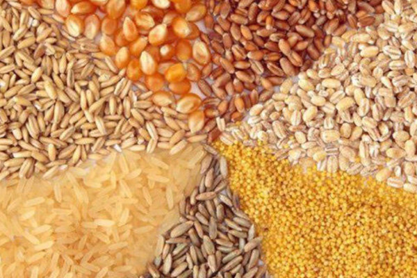 سهم دولتی ها از واردات کالاهای اساسی به ۵۰ درصد رسید