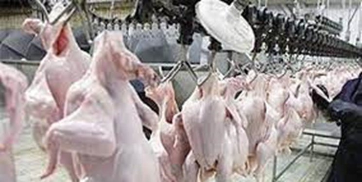 هیئت وزیران  واردات ۱۲۰ هزار تن مرغ را تصویب کرد