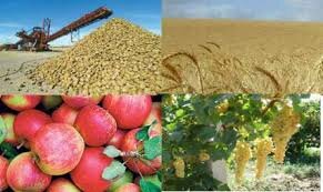 از تضمین خرید محصولات کشاورزی به قیمت روز تا توزیع سبد غذایی