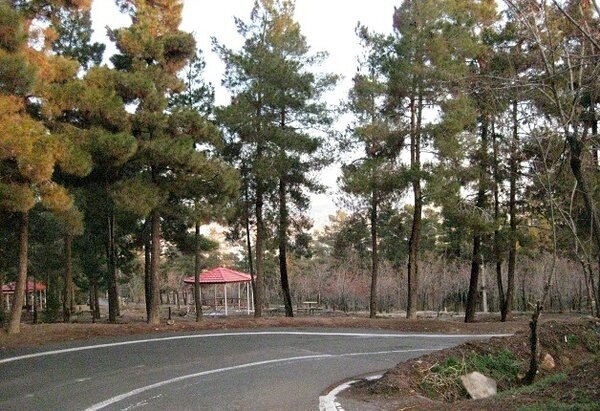 سند طرح مدیریت بهره وری بوستان های چهار گانه جنگلی شمال تهران امضا شد