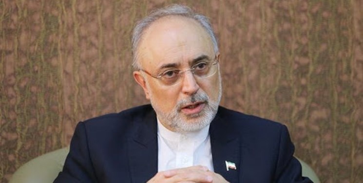 پیام صالحی در آستانه انتخابات ریاست جمهوری