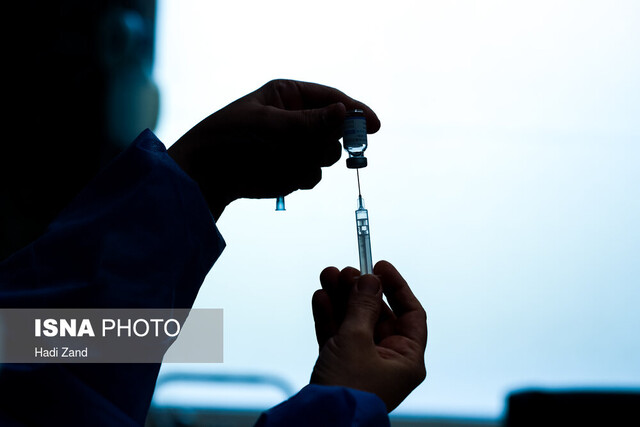 تحویل ۲۰۰ هزار دوز دیگر از واکسن برکت به وزارت بهداشت/ واکسن‌های تحویلی به ۱.۵ میلیون دوز رسید