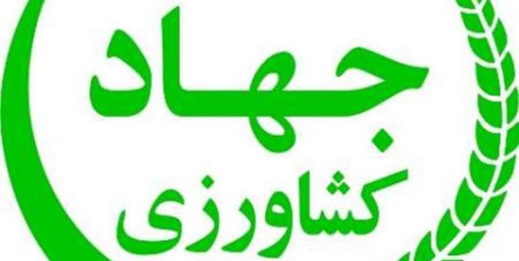 حساسیت انتخاب وزیر جهادکشاورزی دولت سیزدهم برای امنیت غذایی کشور