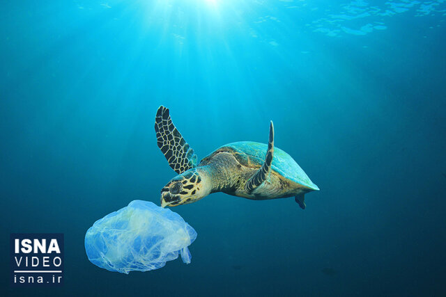 ویدئو / عزم اروپا برای مقابله با بحران پلاستیک