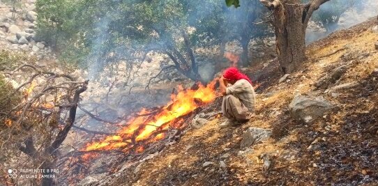 آتش سوزی جنگل‌های «کوه شره» کهگیلویه پس از ۳ روز همچنان ادامه دارد + عکس