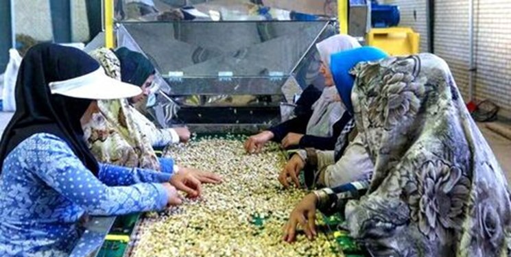 ایجاد 852 هزار شغل در قالب مشاغل خانگی/ افزایش سقف تسهیلات به یک میلیارد ریال
