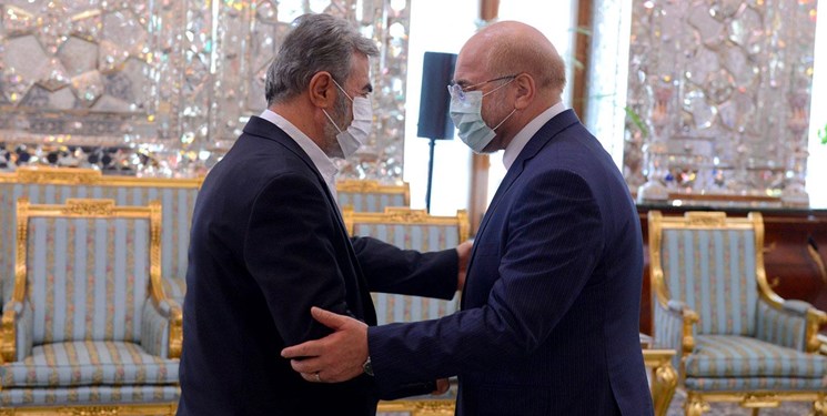 رئیس مجلس: حمایت ایران از فلسطین تا آزادی قدس شریف ادامه خواهد داشت