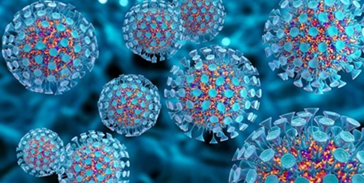 سلول‌های بنیادی و مقابله با کرونا/ تقویت ایمنی بدن در برابر ویروس‌ها