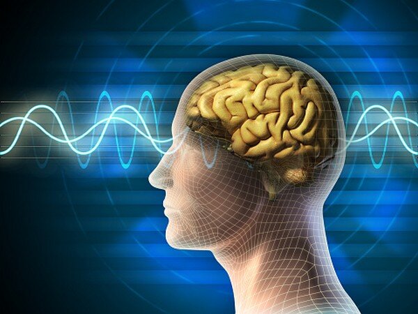 عرضه دستگاه ثبت سیگنال‌های مغزی و ابزار پوشیدنی پایش دمای بدن