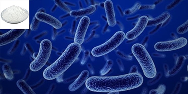 محققان ایرانی با دست‌ورزی ژنتیکی باکتری‌ها نیاز صنایع دارویی به ماده‌‌ی اولیه را رفع کردند