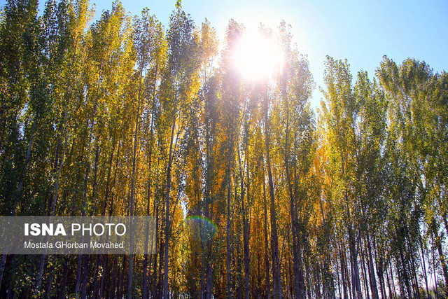 هفت نکته درباره «ارسباران»