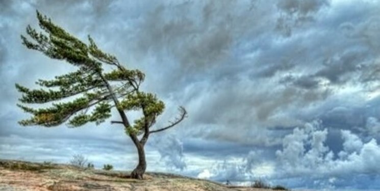 وزش باد شدید در شرق کشور تا پنج روز آینده/ آسمانی آفتابی در اغلب شهرها