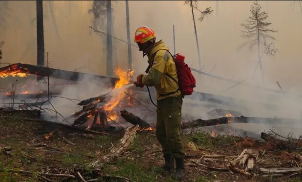 گسترش آتش سوزی ها در جنگل‌های شرقی روسیه