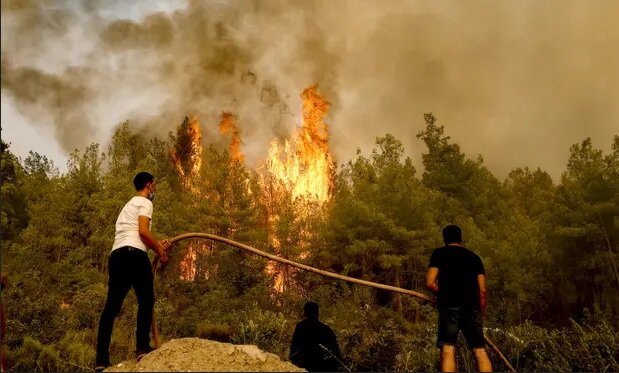 گسترش آتش سوزی های جنگلی در ایتالیا