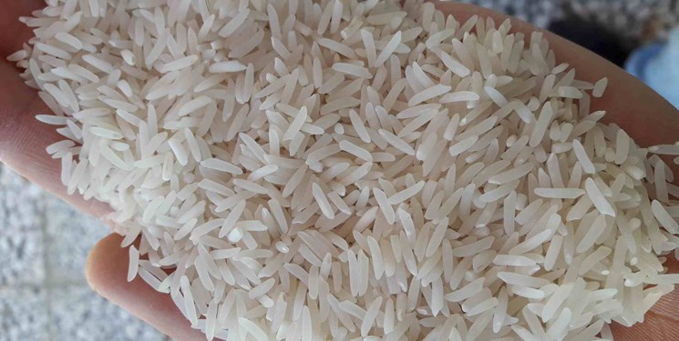 به هم ریختگی بازار برنج میراث دولت گذشته/پیشنهاد برای تنظیم بازار اعلام شد