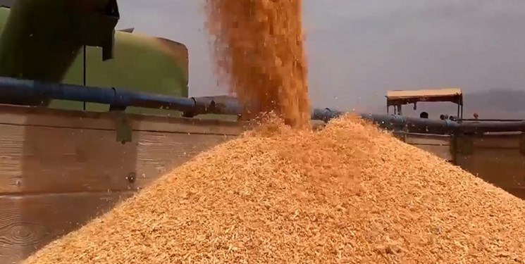 ثبت رکورد جدید افزایش قیمت گندم در بازارهای جهانی/هشدار برای توجه بیشتر به محصولات اساسی