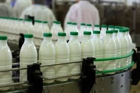 سرانه پایین مصرف لبنیات در کشور/ لزوم تعلق یارانه به شیر و لبنیات