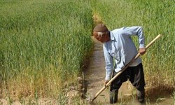 مجلس ساز و کار «یکپارچه‌سازی مدیریت اراضی کشاورزی» را تعیین کرد