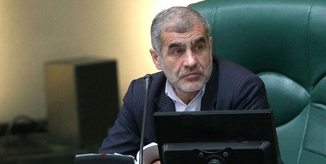 نیکزاد: مجلس از تولید داخلی حمایت می کند