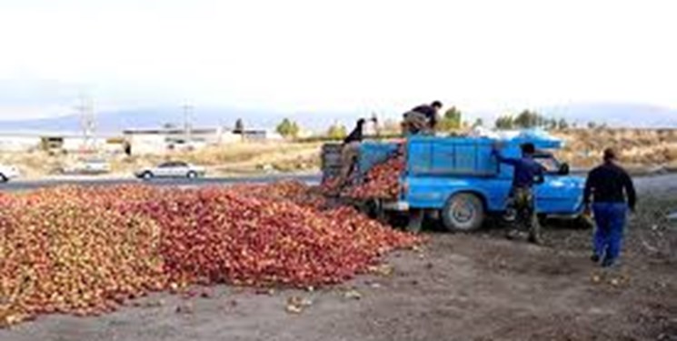 ۳ عامل اصلی مشکل سیب کاران / چرا باغداران مجبورند سیب را بیرون بریزند؟
