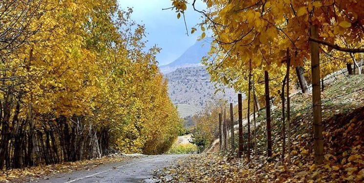 بارش باران در شمال و شمال‌شرق از اواخر هفته/هوای کشور خنک می‌شود