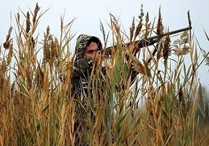 رئیس منطقه حفاظت شده “مند” استان بوشهر مجروح شد