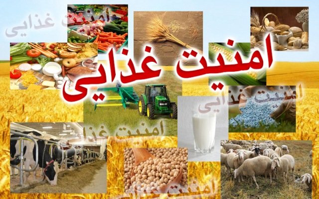 راهکاری برای ایجاد امنیت غذایی در شرایط فعلی کشور/غنی‌سازی مواد غذایی با ریز مغذی‌ها