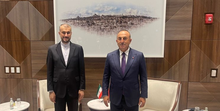 چاووش اوغلو فردا مهمان امیرعبداللهیان
