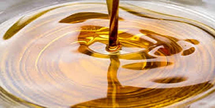 کشف تخلف 16 میلیون یورویی در واردات روغن خام