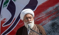 ابراز نگرانی رشاد از تغییرات در دین‌داری بشر امروز/ حوزه‌ها تحولات را جدی بگیرند