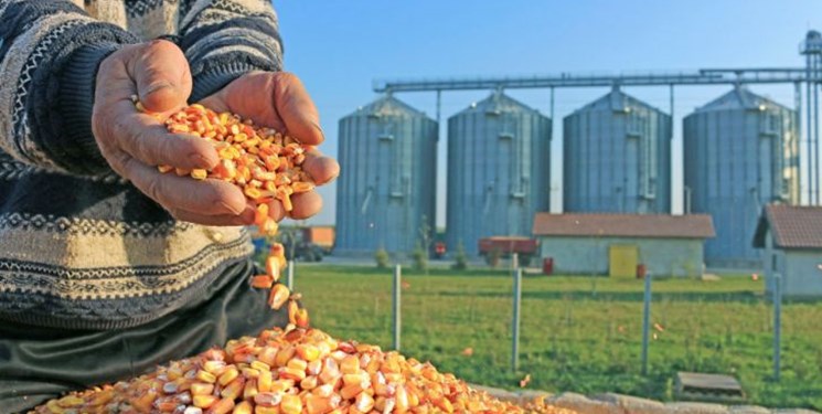 بررسی تهاتر محصولات نفتی با نهاده‌های دامی بین ایران و برزیل در کمیسیون کشاورزی