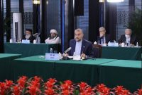 امیرعبداللهیان: در ۷ ماه گذشته حدود یک میلیون افغان وارد ایران شدند