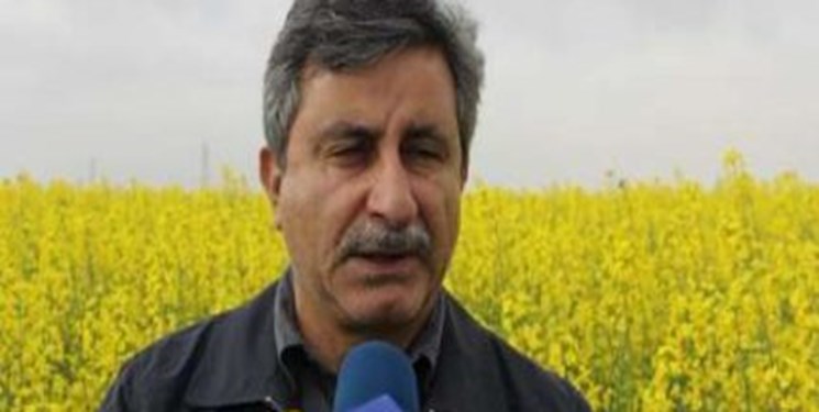۴ برنامه وزارت جهاد کشاورزی برای افزایش نفوذ فن آوری در کاهش مصرف آب