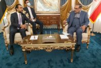 دیدار رئیس مجلس عراق با شمخانی