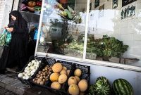 راهکار جالب خانم معلم برای کاهش قیمت گوشت/خشکاله می تواند جلوی خروج ارز از کشور را بگیرد
