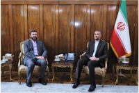 رایزنی حقوقی امیرعبداللهیان و غریب‌آبادی
