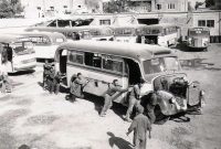 قاتل شیخ محمد خیابانی، بنیانگذار شبکه اتوبوسرانی تهران