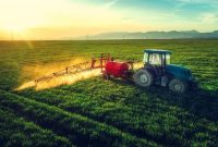 قول وزارت جهاد کشاورزی برای اجرای طرح الگوی کشت تا 6 ماه دیگر/سازوکار اجرا آماده شد