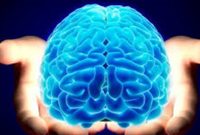 مدلسازی مغز در مراحل مختلف خواب از سوی محققان ایرانی