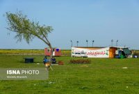 کارگران در «میانکاله» همچنان مشغول کارند