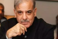 گمانهزنیها از ترکیب دولت جدید پاکستان؛ سهم احزاب در کابینه «شهباز» گمانهزنیها از ترکیب دولت جدید پاکستان؛ سهم احزاب در کابینه «شهباز»