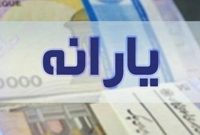 اولین یارانه کمک‌معیشتی دولت‌ قابل برداشت شد