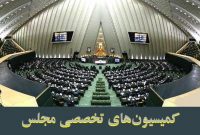 بررسی نحوه توزیع یارانه کالاهای اساسی در دستورکار کمیسیون‌های تخصصی مجلس