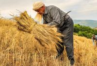 تبدیل پسماندهای تر به خشکاله و ارتقای امنیت غذایی/ زمین پاک و خودکفایی با یک نهاده بومی تبدیل پسماندهای تر به خشکاله و ارتقای امنیت غذایی/ زمین پاک و خودکفایی با یک نهاده بومی