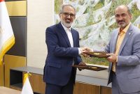 تمرکز سایپا بر تولید خودروهای شاهین و کوییک/ تعامل بانک صنعت و معدن و سایپا ۲ برابر می‌شود