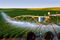 تولید سیستم آبیاری هوشمند برای حل مشکلات حوزه کشاورزی